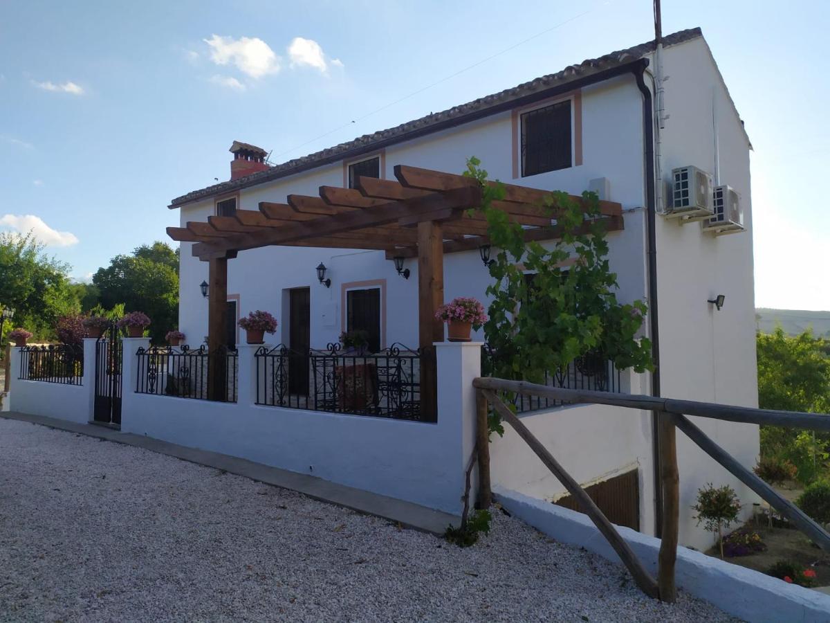 Maison d'hôtes La Casa De La Abuela à Setenil De Las Bodegas Extérieur photo